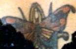 Risha Aleena Lewis tattoo